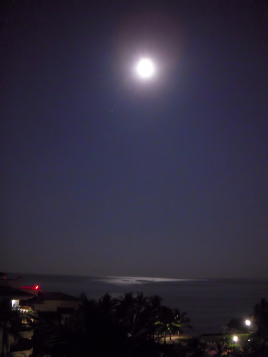 Moonlight reflected in bay-Puerto Vallarta, photograph, 2017