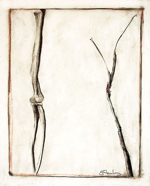 14 Bones and Twig, charcoal,  conte,  white chalk, 39 x 29 in., 1995