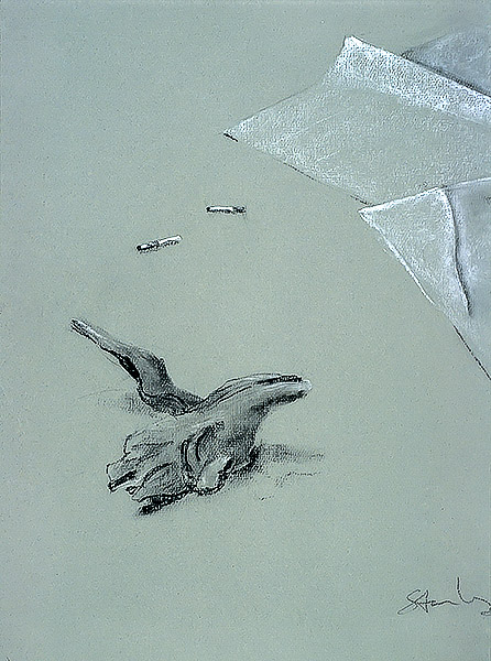 15 Objects on Ground, pastel on toned paper, 18 x24 in., 1995