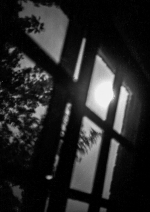 Moon and Trees through window, photograph, 2018